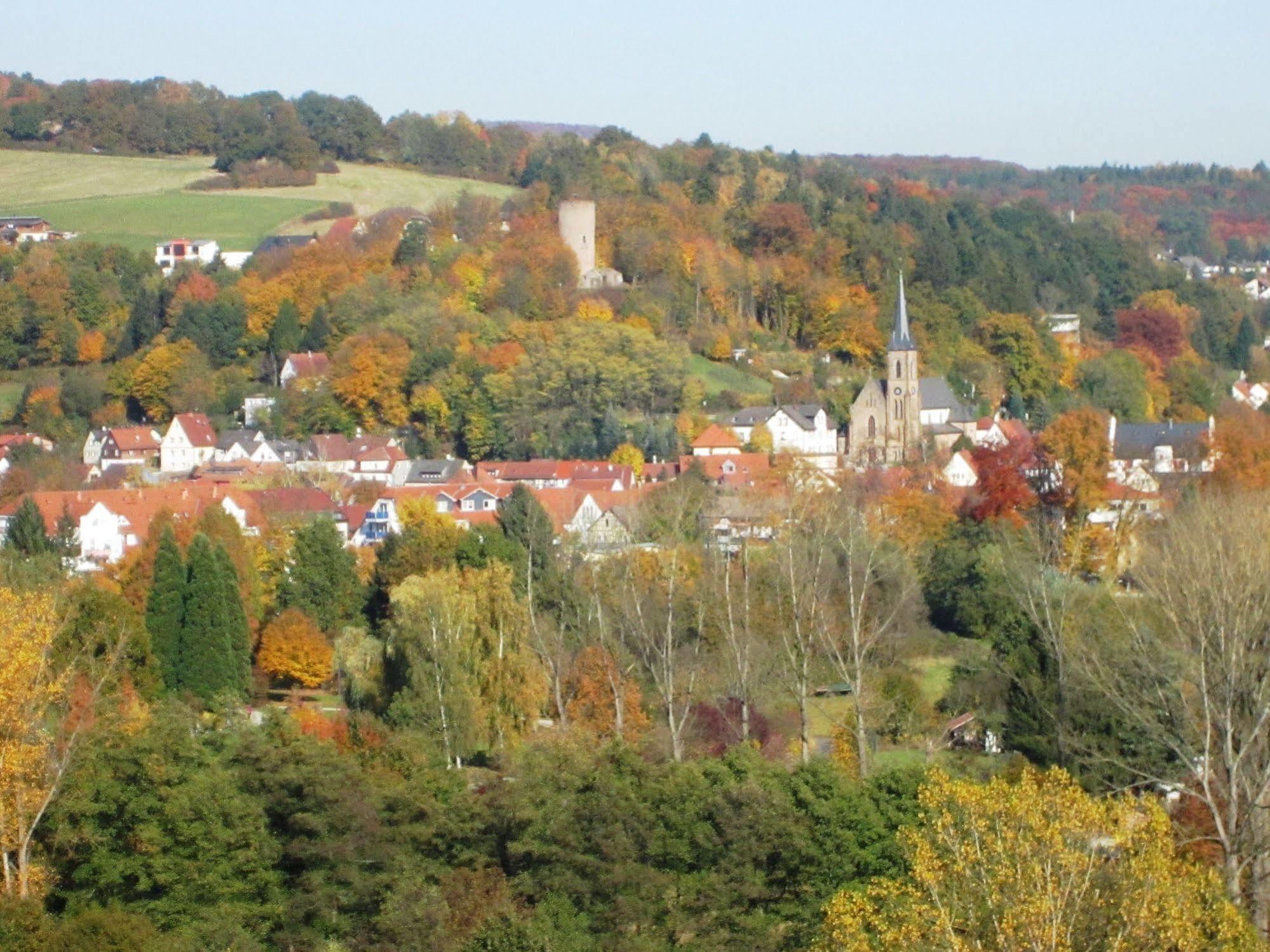 Trip Inn Landhotel Badsoden-Salmuenster Bad Soden-Salmünster Eksteriør billede